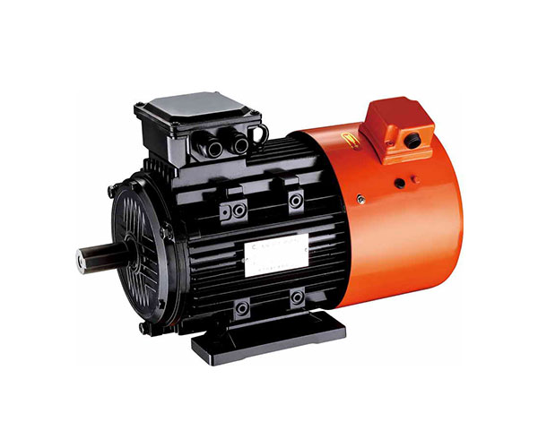 YT100-5.5-3000 permanent magnet synchronous motor